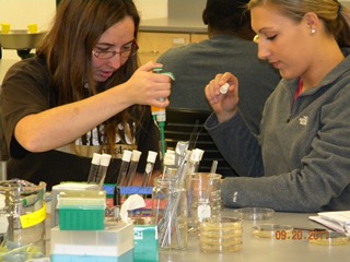 Students doing experiments